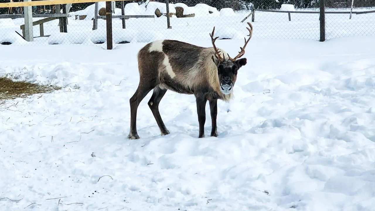 REGIONS/Мария Панина