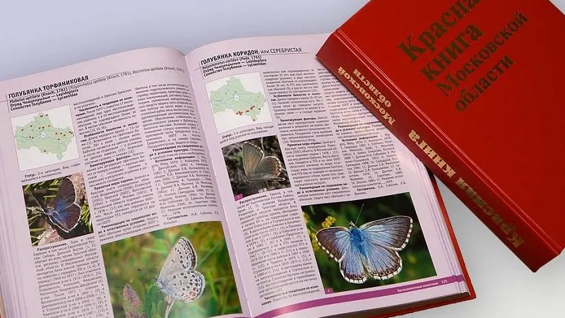 Шестьсот семьдесят четыре вида войдут в новое издание Красной книги Подмосковья