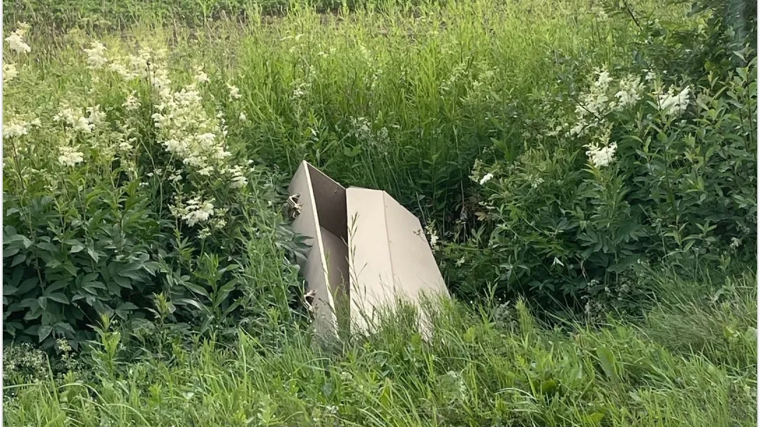 Фото: соцсети