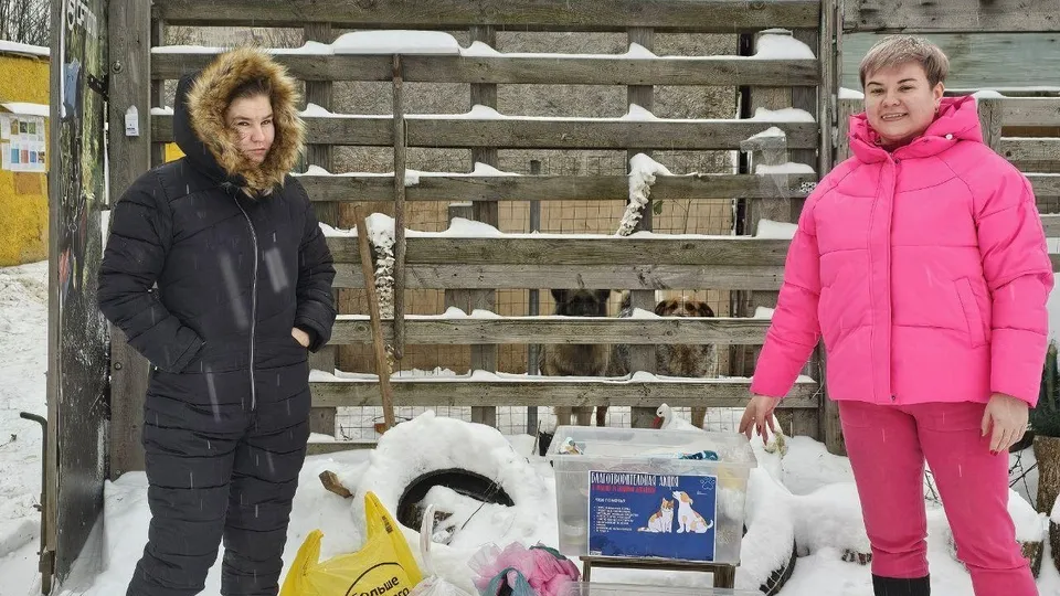 Фото: пресс-служба администрации г.о. Балашиха