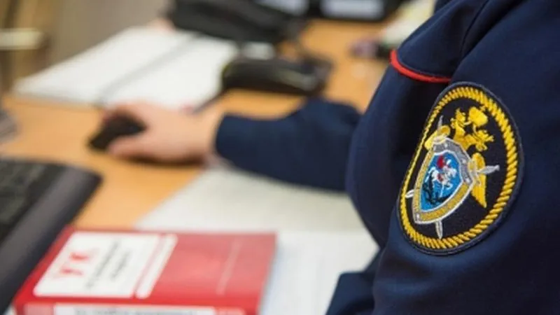 Органы опеки в Люберцах проверят на халатность