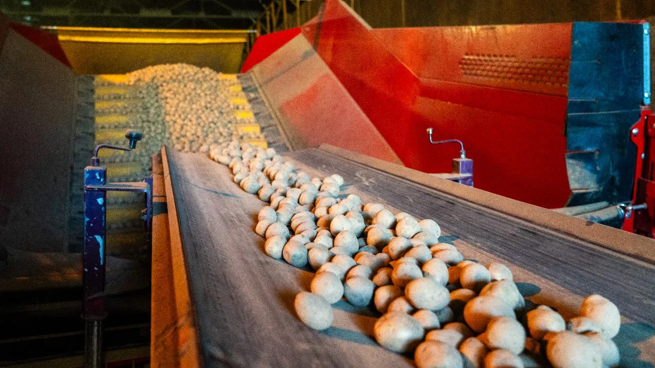 В Подмосковье в 2025 году реализовали 31 инвестпроект в сфере сельского хозяйства