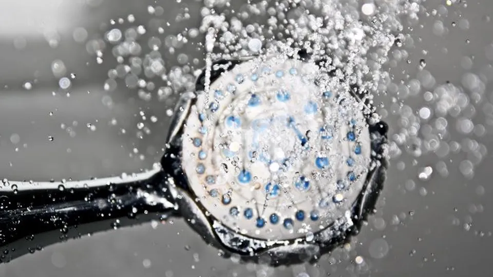 Фото: pxhere.com