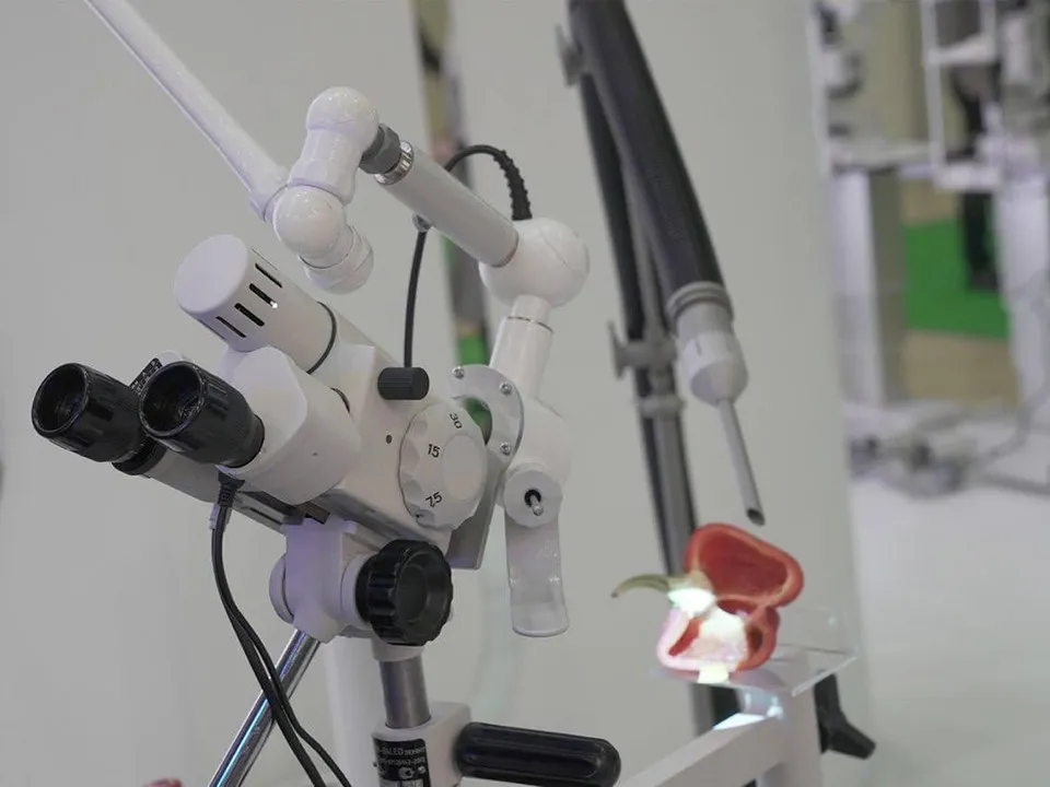 Фото:&nbsp;Администрация г.о. Красногорск