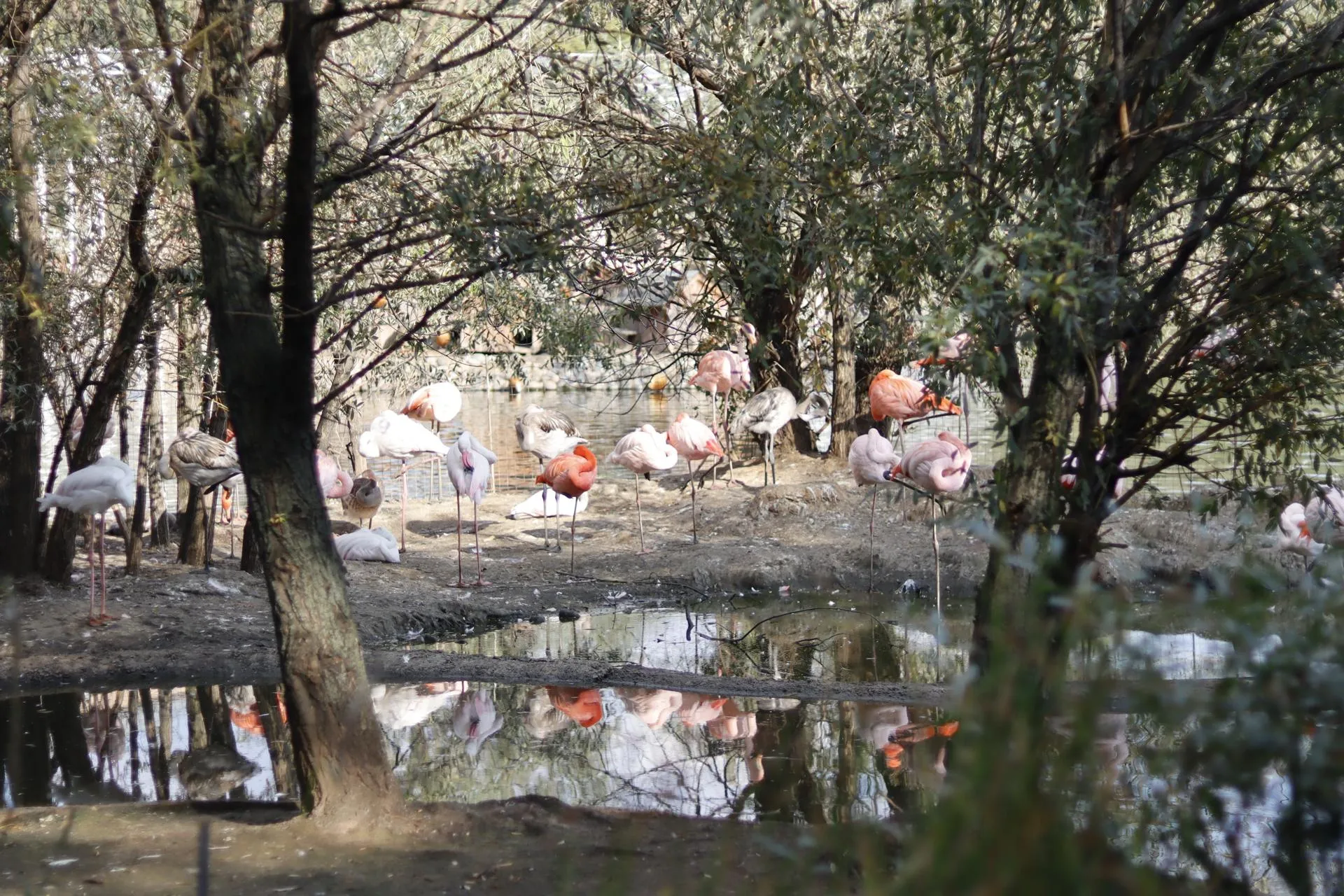 Фото: «Молодая Гвардия» г. о. Зарайск