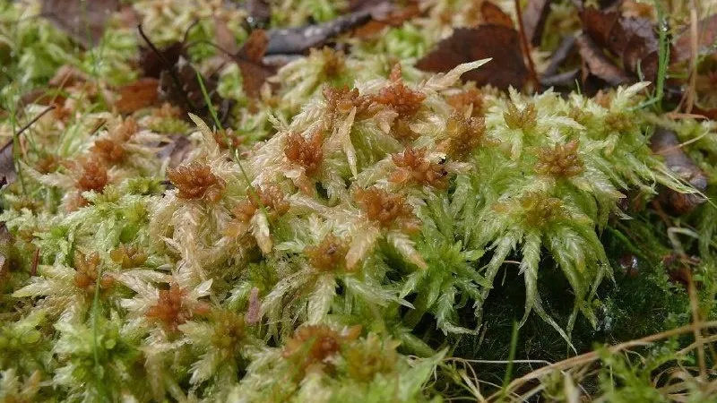 Фото: пресс-служба КамГУ им. Витуса Беринга