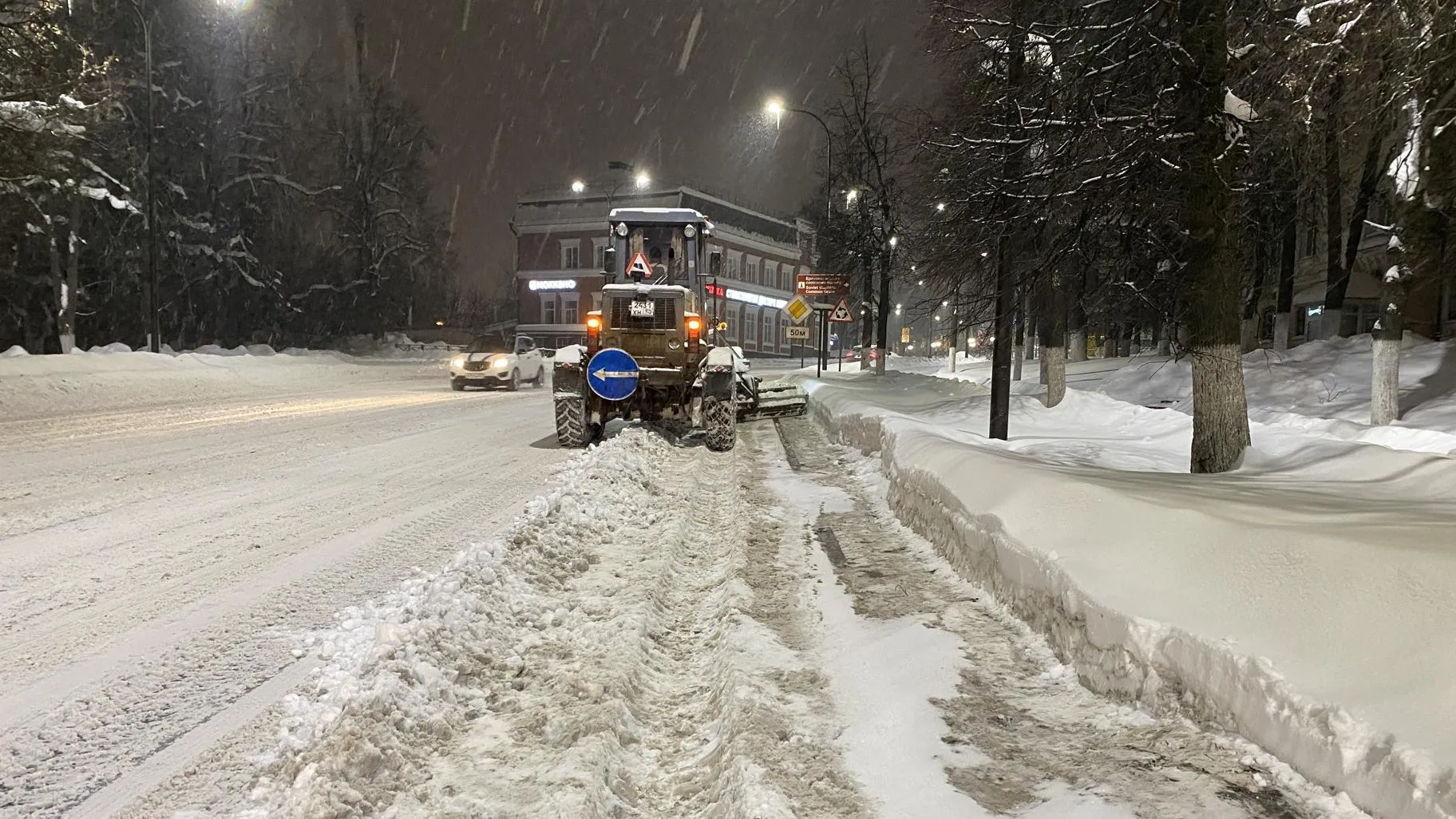 Анна Артюшина