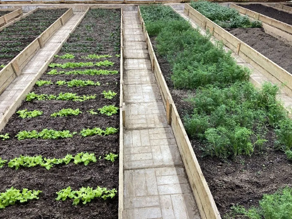 Фото: МедиаБанк Подмосковья/Кирилл Цибизов