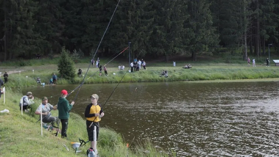 Фото: администрация Сергиево-Посадского г.о.