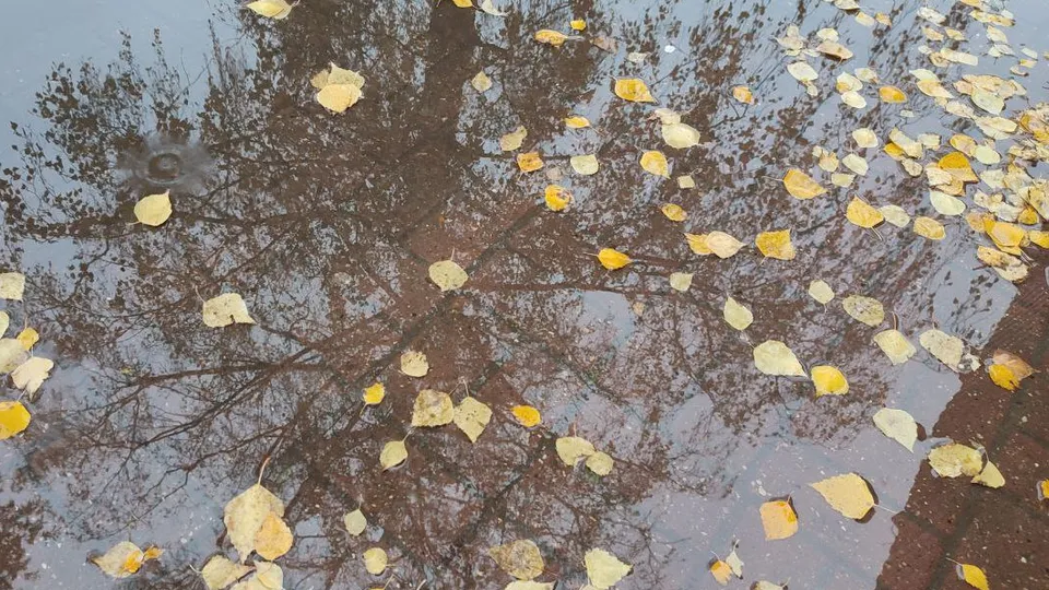 Фото: REGIONS/Елена Забелина