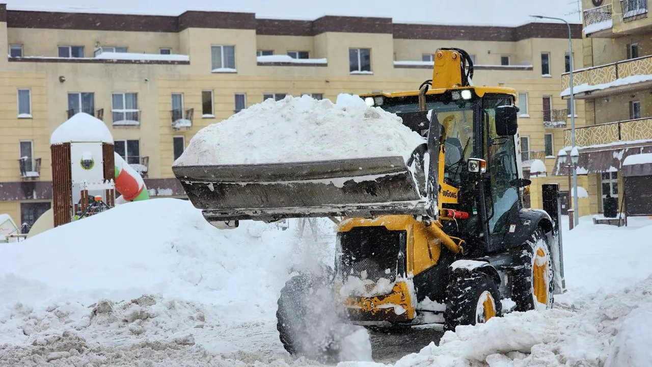 МедиаБанк Подмосковья/Екатерина Данилина