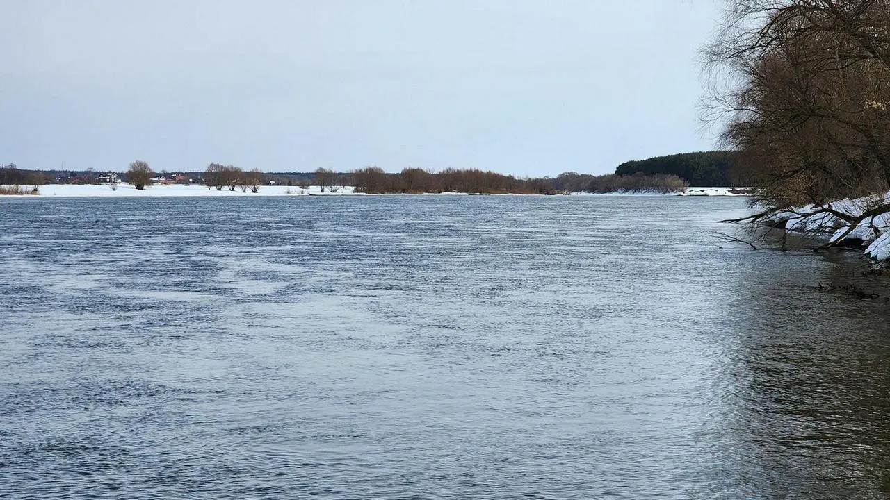 МедиаБанк Подмосковья/Анна Шолохова