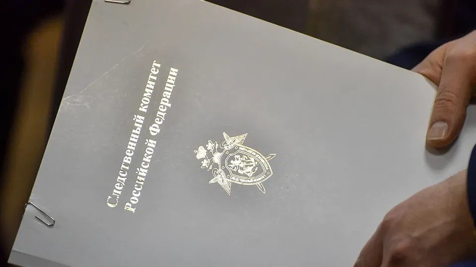 Фото: медиасток.рф