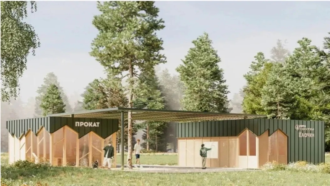 проектное решение