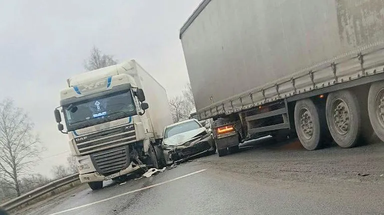 Фото соцсети.