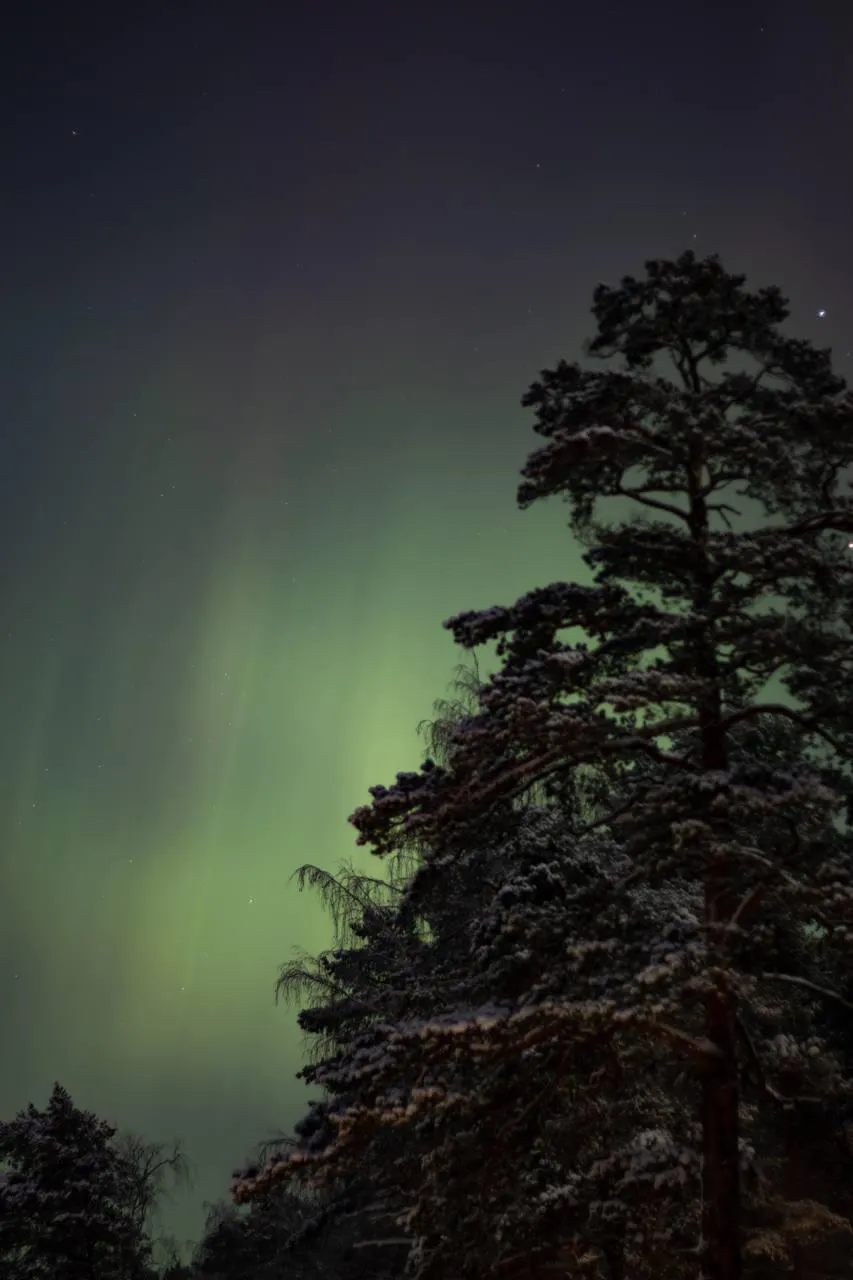 Фото из соцсетей/ Дальний Восток 01.12.23