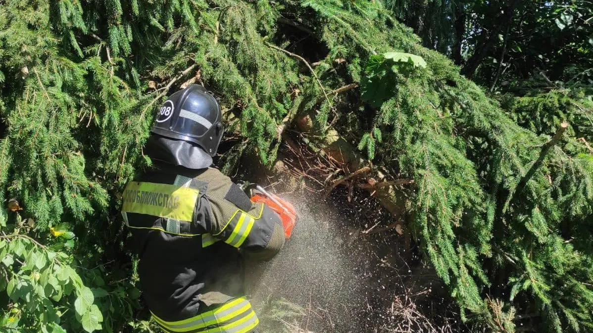 Фото: ГКУ МО «Мособлпожспас»