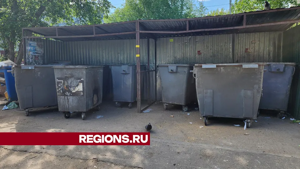 Фото: Александр Стёпушкин