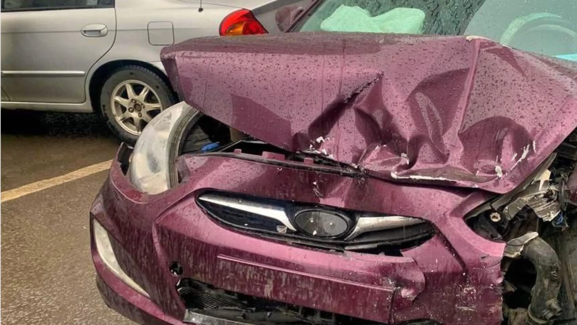 Фото: пресс-служба ГУ МВД России по Московской области