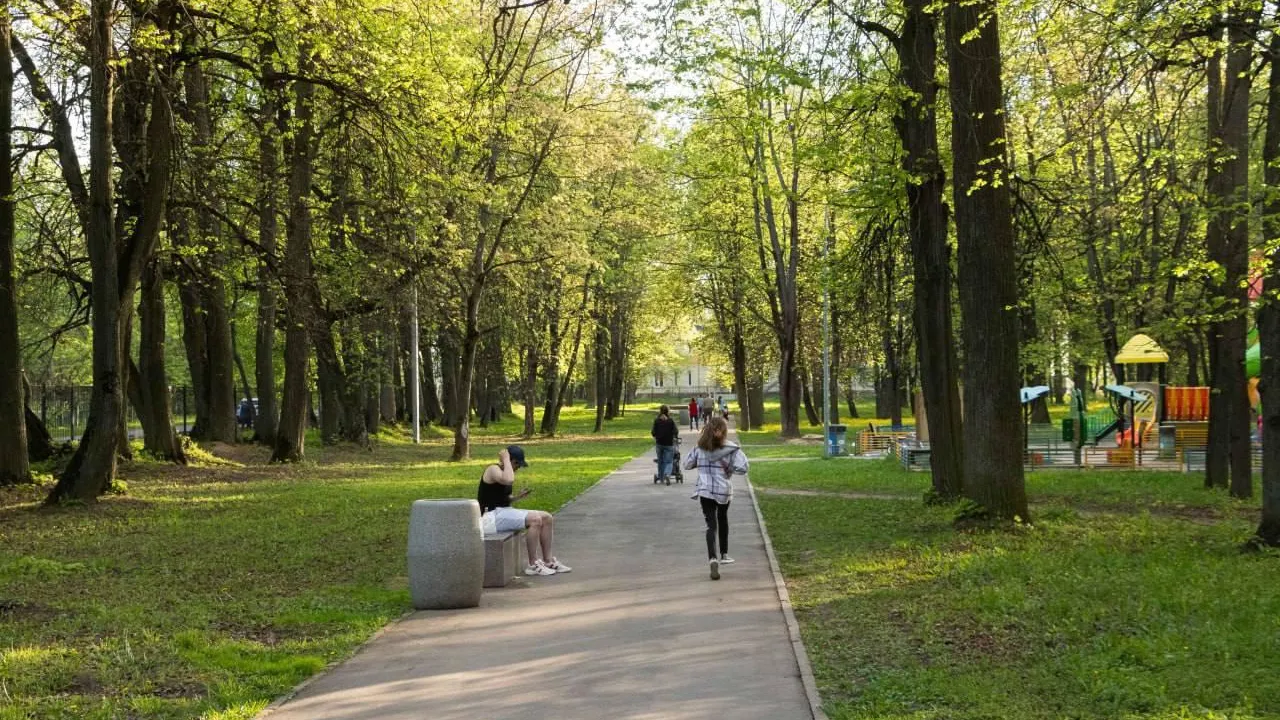 Фото: Министерство благоустройства Московской области