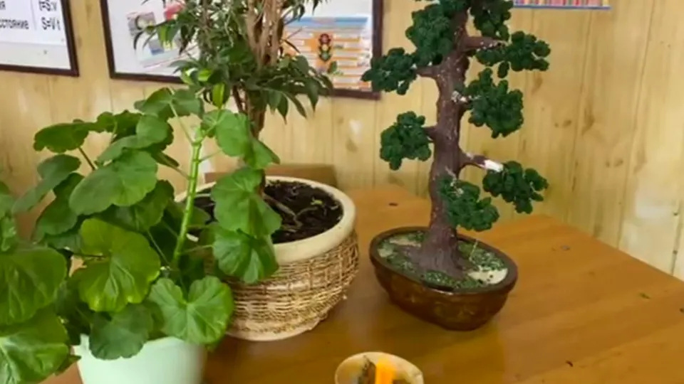 Фото: t.me/mosoblcomles