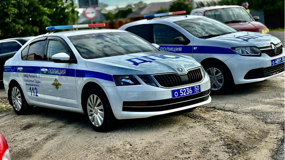 Фото: Госавтоинспекция г.о. Серебряные Пруды