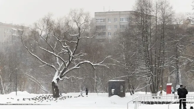 Пресс-служба Комитета по конкурентной политике Московской области