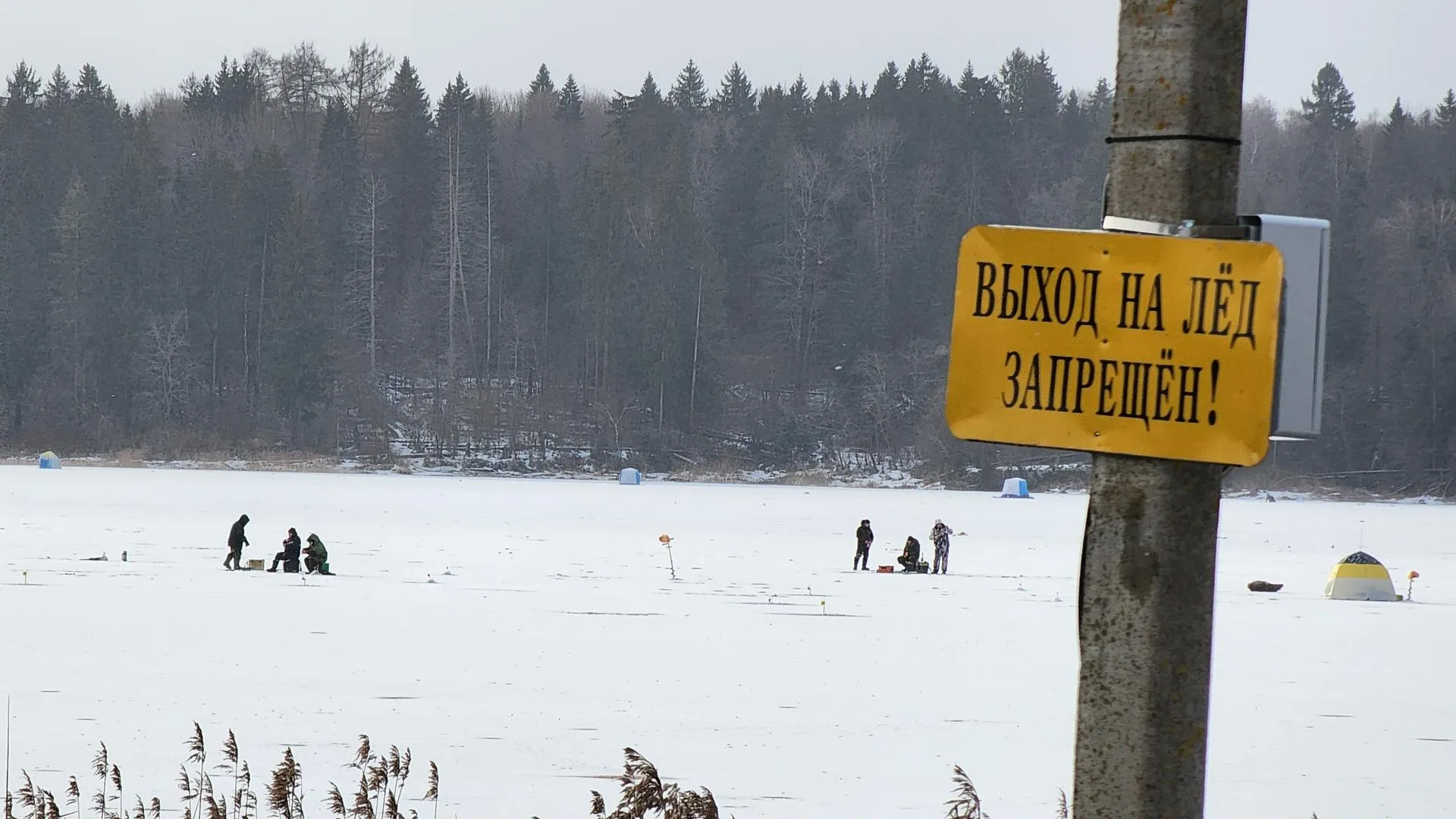 МедиаБанк Подмосковья/Екатерина Данилина