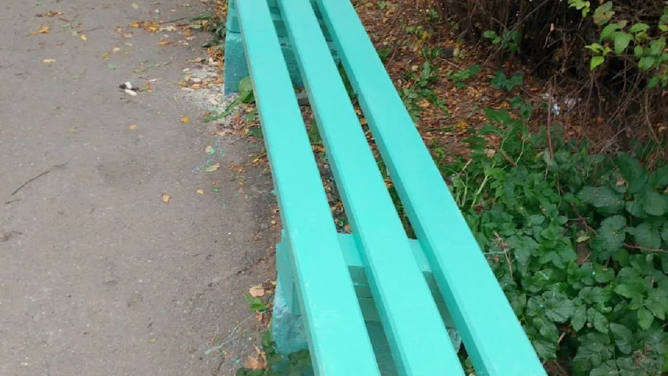 Фото: администрация м.о. Лотошино