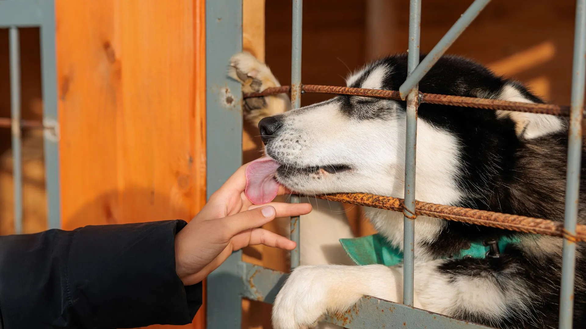 медиасток.рф