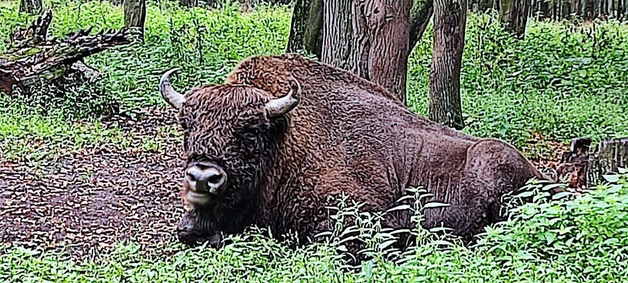 Министерство социального развития Московской области