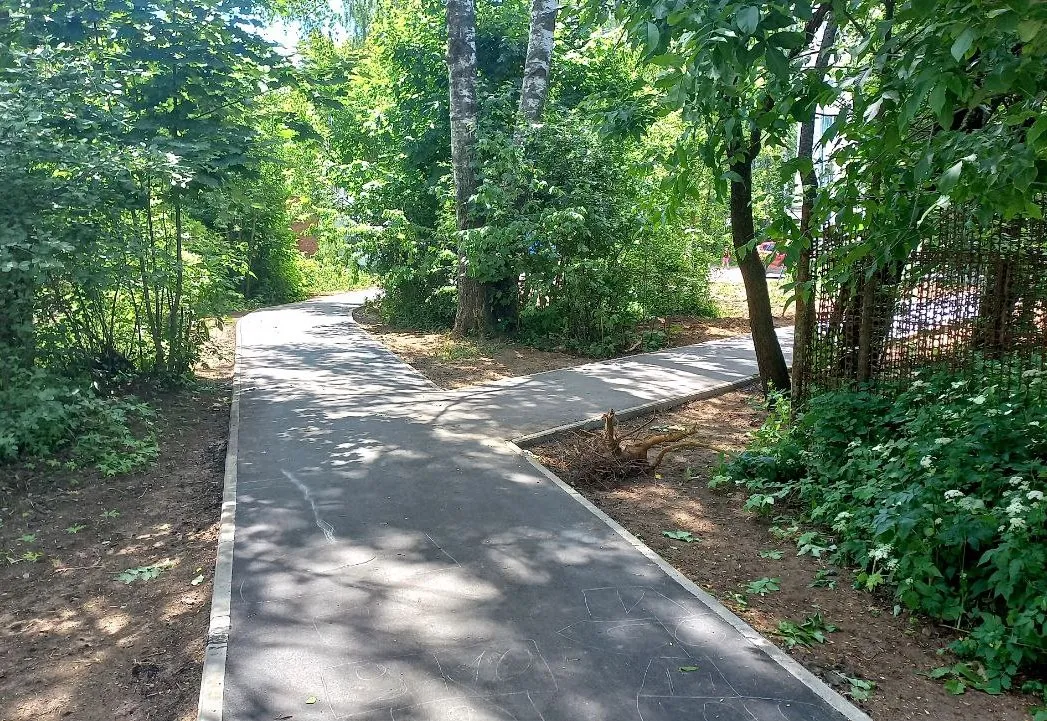 Фото: Олег Книжник