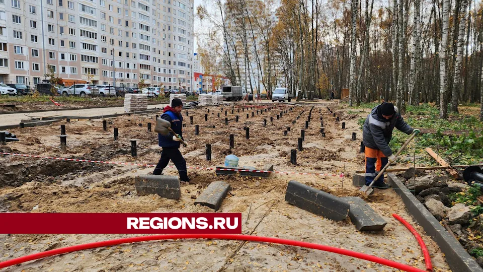 Фото: Дмитрий Алексеенко
