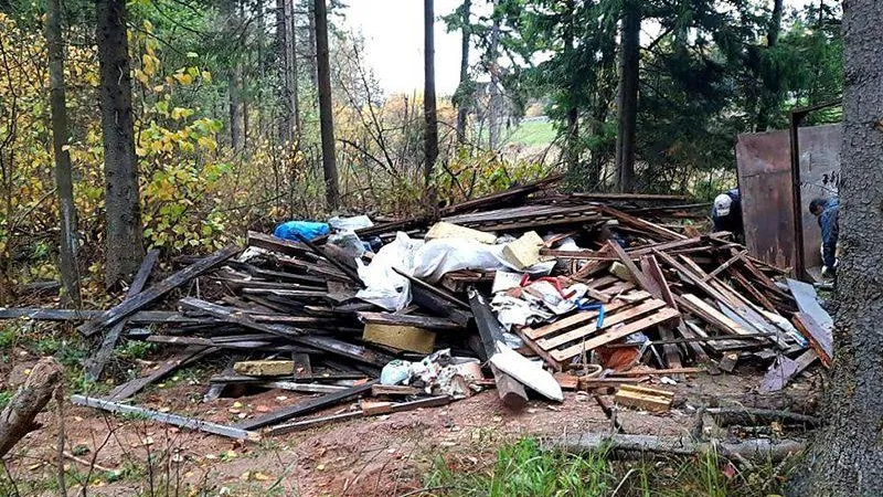 Более 20 незаконных свалок ликвидировали в Истре за минувший октябрь