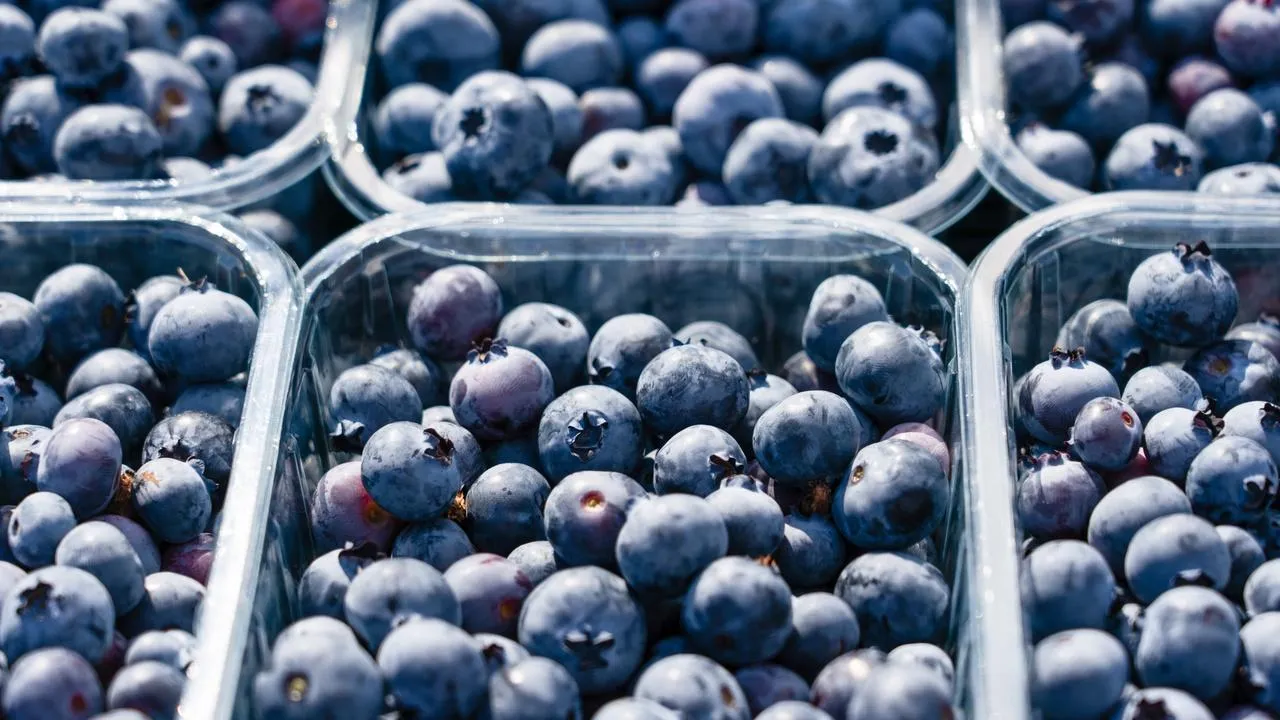 медиасток.рф