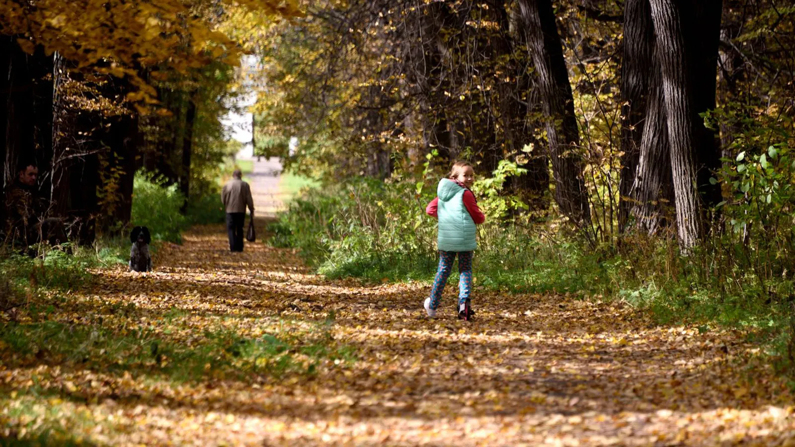 Фото: медиасток.рф