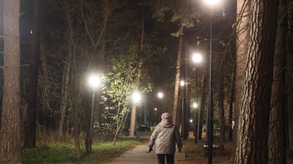 Фото: Министерство благоустройства Московской области