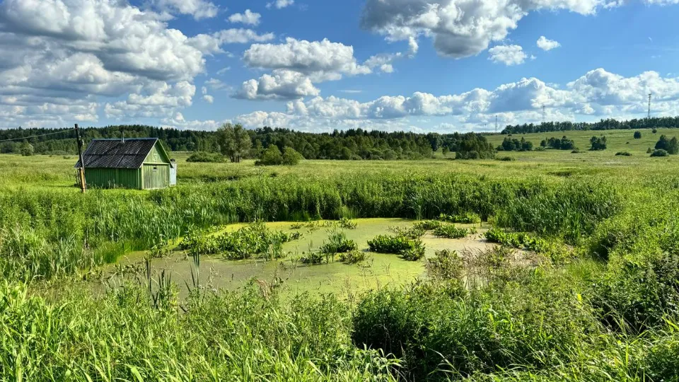 Фото: t.me/mariiaazar3nkova