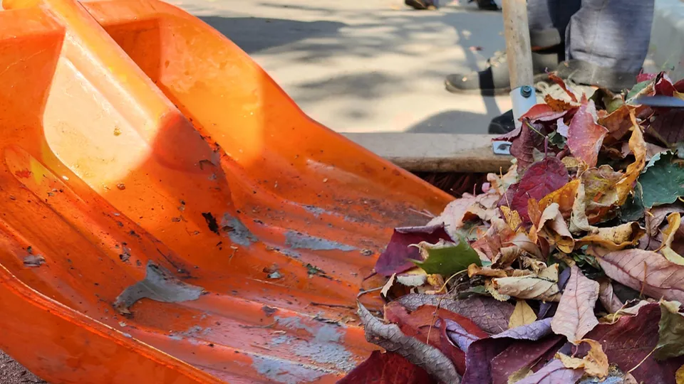 Фото: МедиаБанк Подмосковья/Ольга Антонова