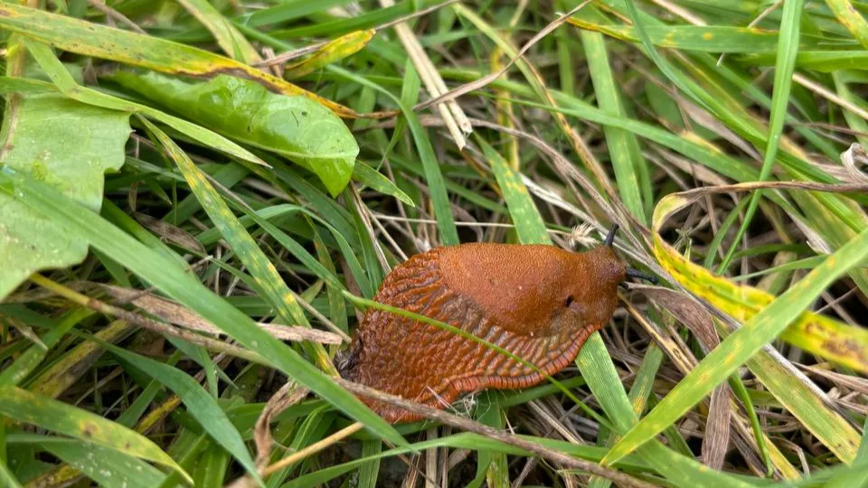 Фото: REGIONS/Алена Мельникова