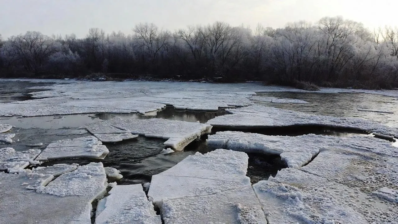 Появилась новая информация о пропаже троих детей в подмосковном Звенигороде