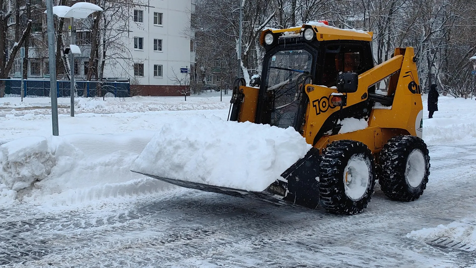 Елена Катасонова