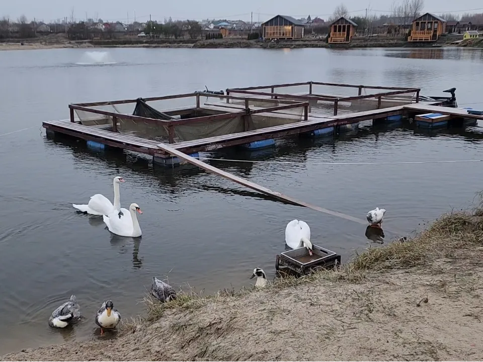 Рыбное хозяйство. Фото: Ольга Антонова