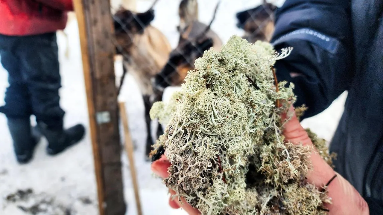 REGIONS/Мария Панина