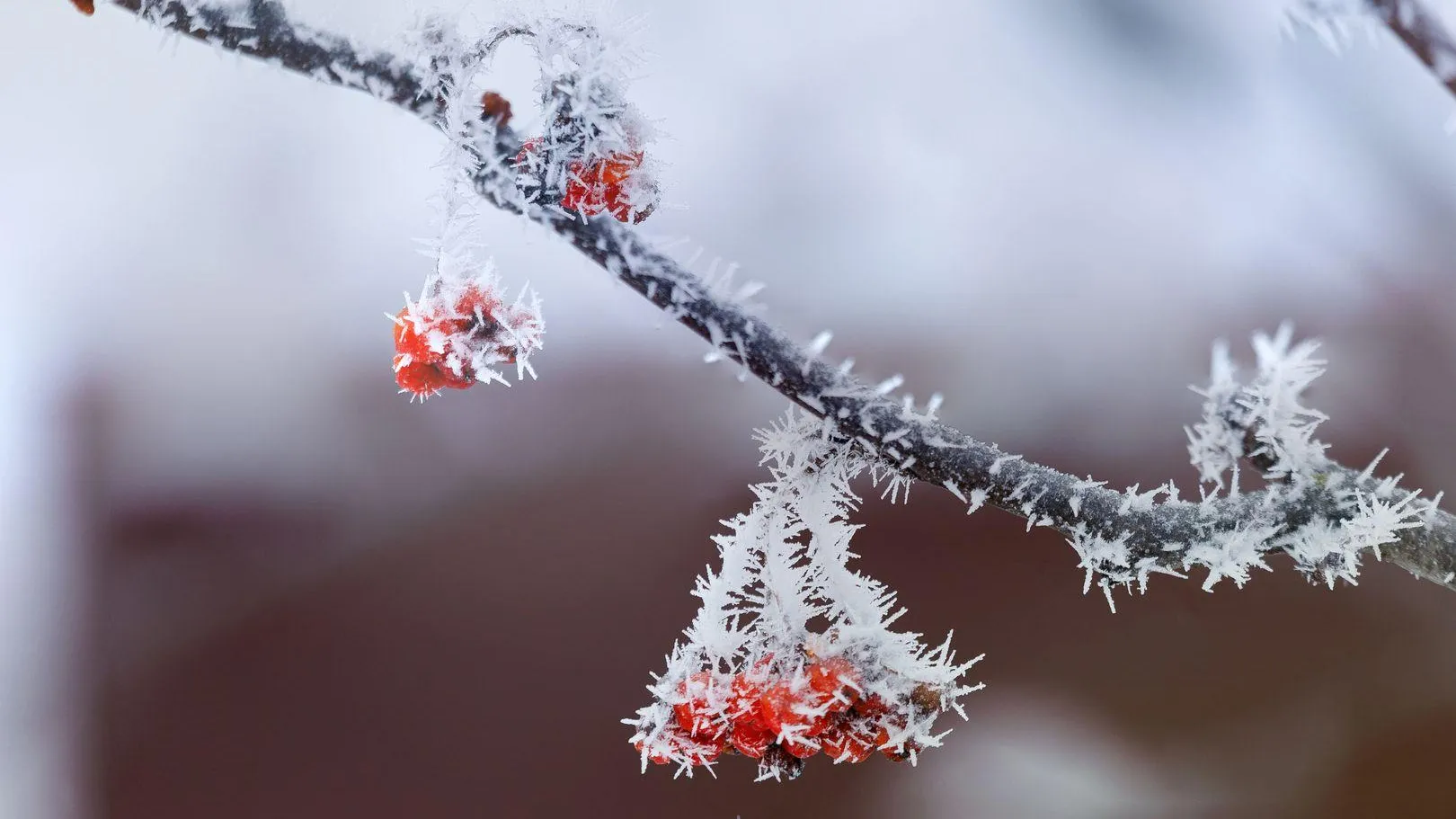 медиасток.рф