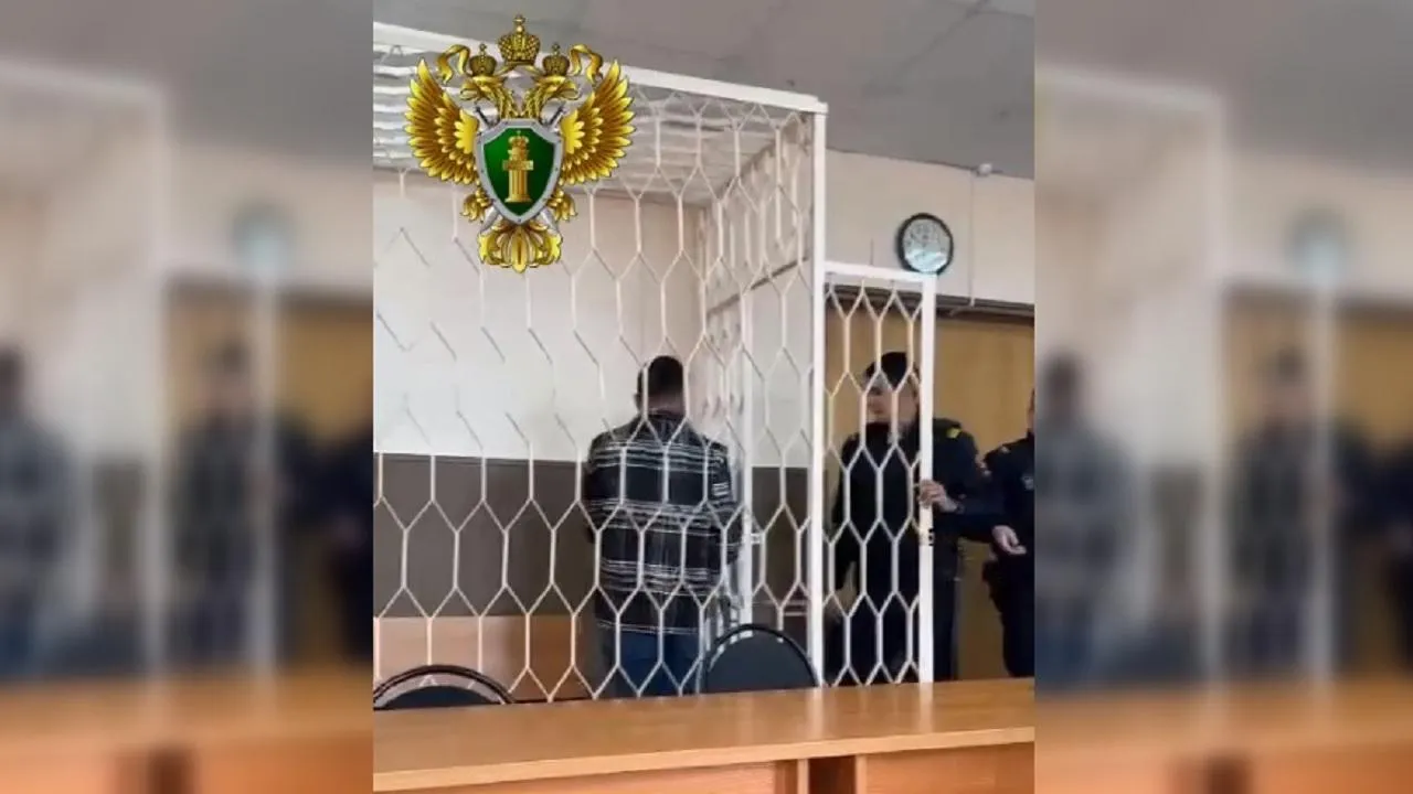 Суд арестовал банду лжегазовщиков, совершивших серию разбойных нападений на пенсионеров в Раменском