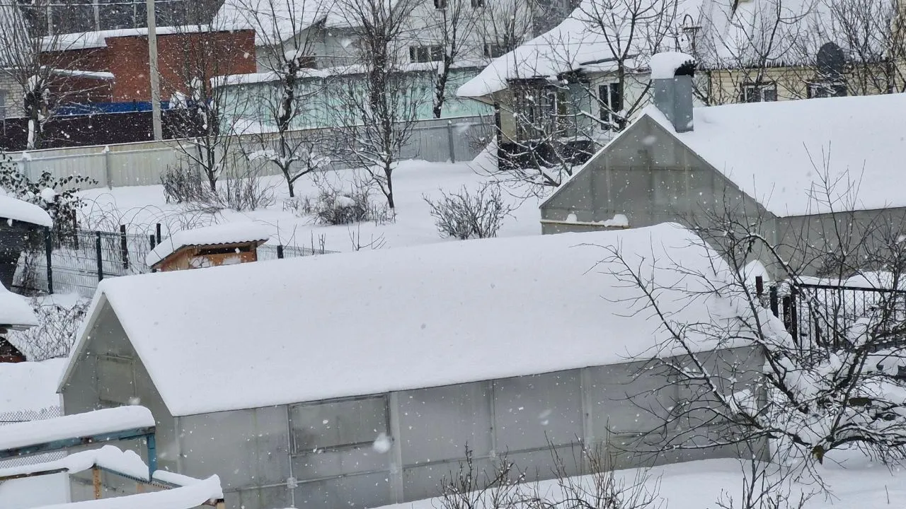 Фото: REGIONS/Наталия Надточая