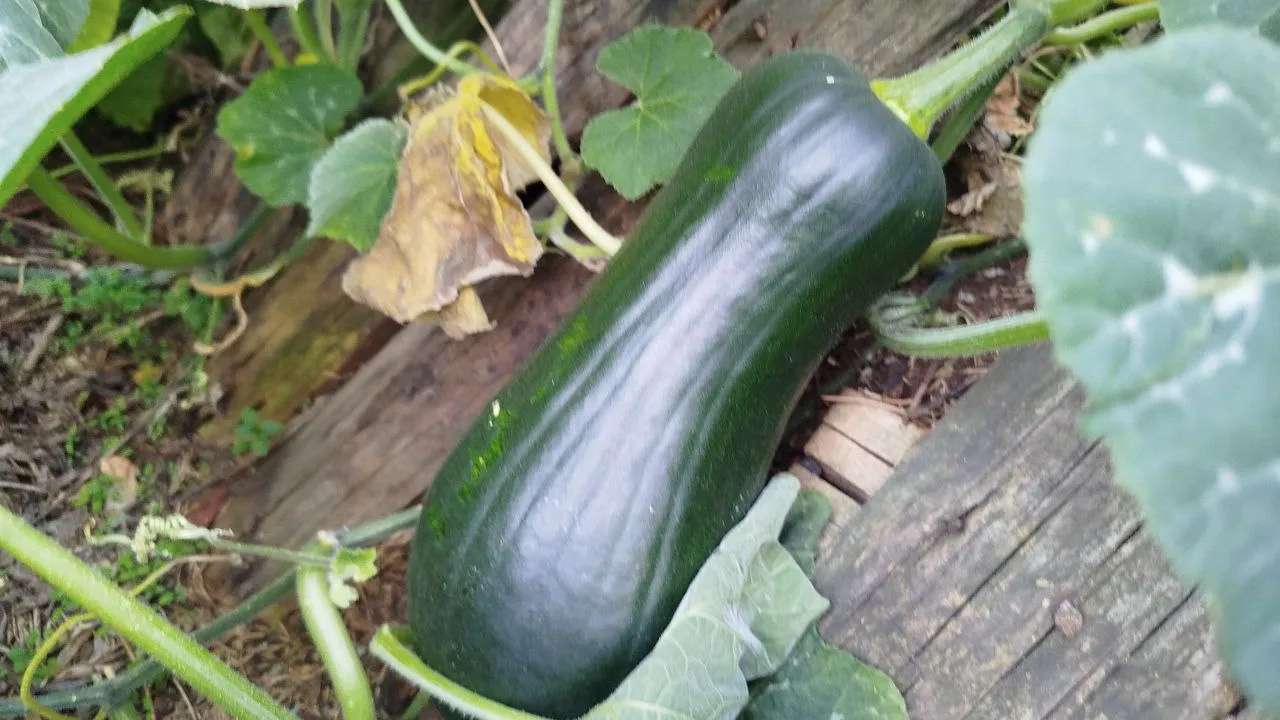 Фото: REGIONS/Юлия Куделькина