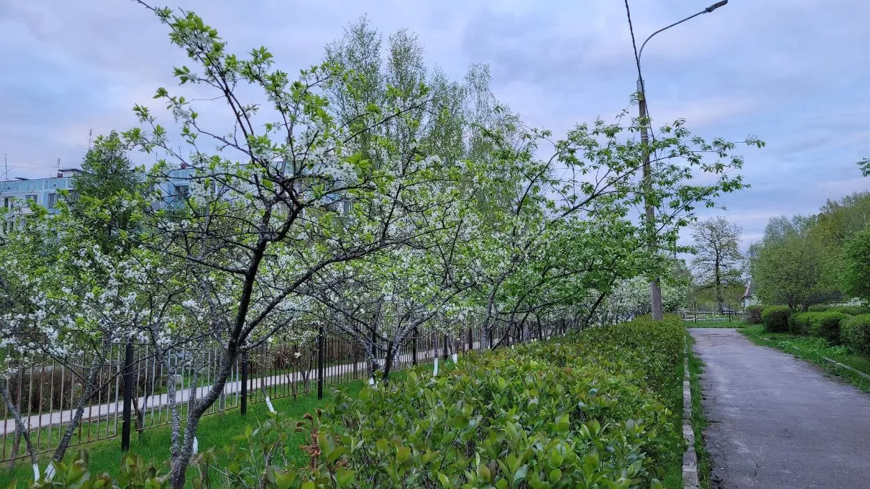 Фото: Юлия Григорьева