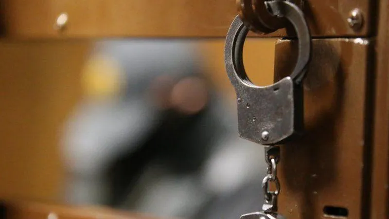 Банда похитителей предстанет перед судом в Домодедово
